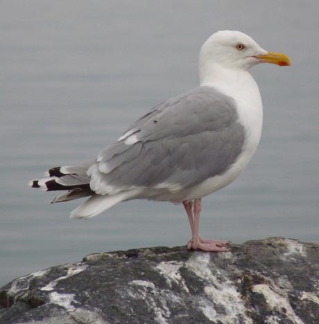 020 2013-07-28 030 Bud Pluscamp