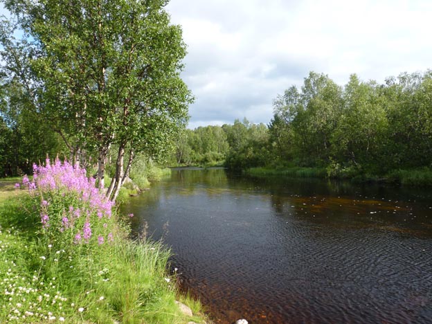 021 2013-07-17 027 Hetan Lomakylä