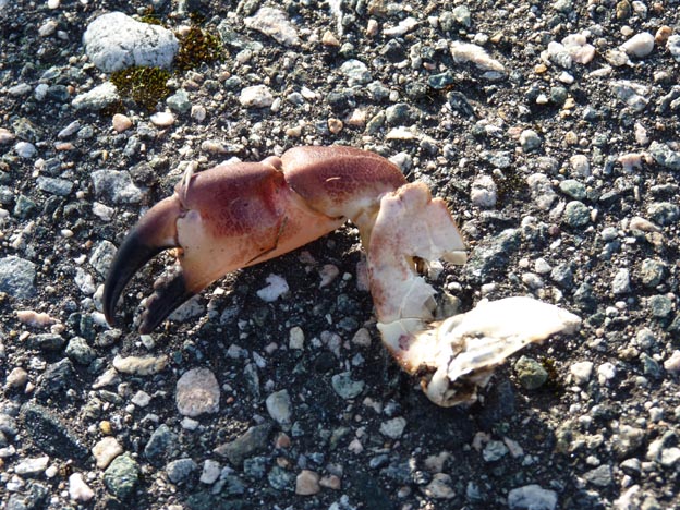 021 2013-07-22 112 Sör