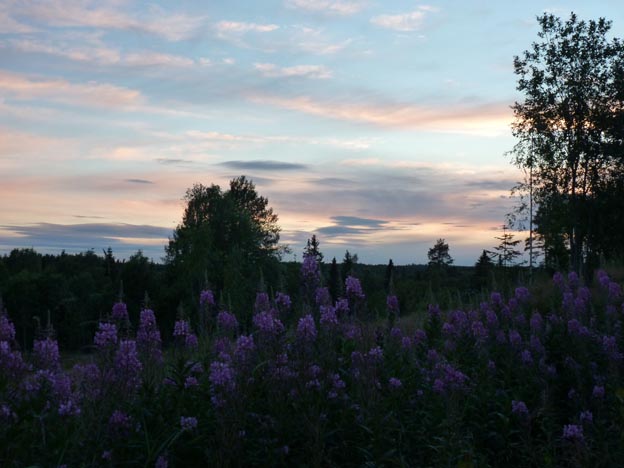 031 2013-07-14 077 Lufta Camping