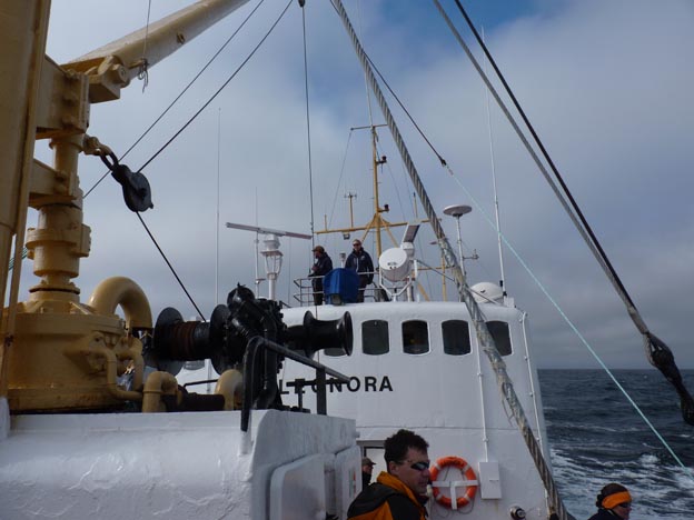 031 2013-07-23 105 Sör