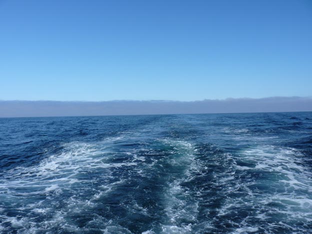 032 2013-07-23 111 Sör