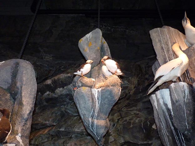 038 2013-07-19 120 E69 Nordkap