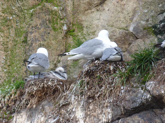 038 2013-07-23 164 Sör