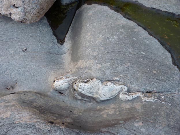 043 2013-07-26 062 E6 Krokstrand Camping