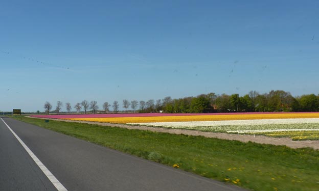 004 2014-04-16 010 Holland A6 Lemmer Emmeloord