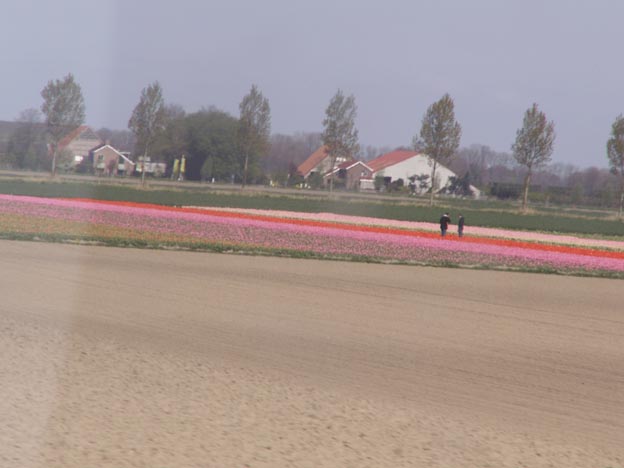 KONICA MINOLTA DIGITAL CAMERA