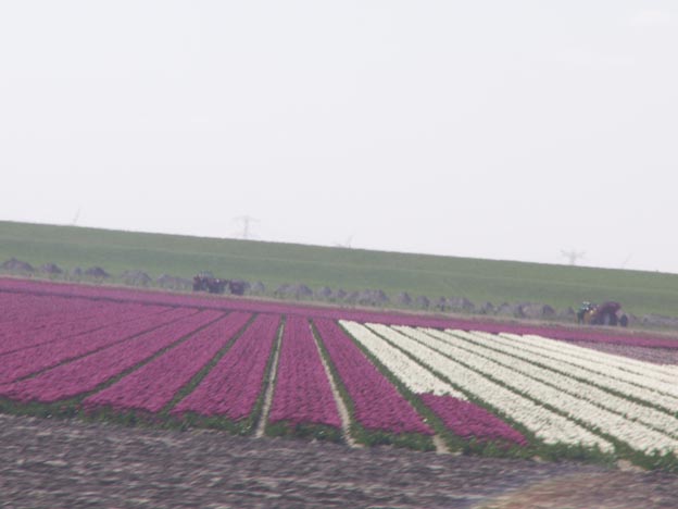 KONICA MINOLTA DIGITAL CAMERA