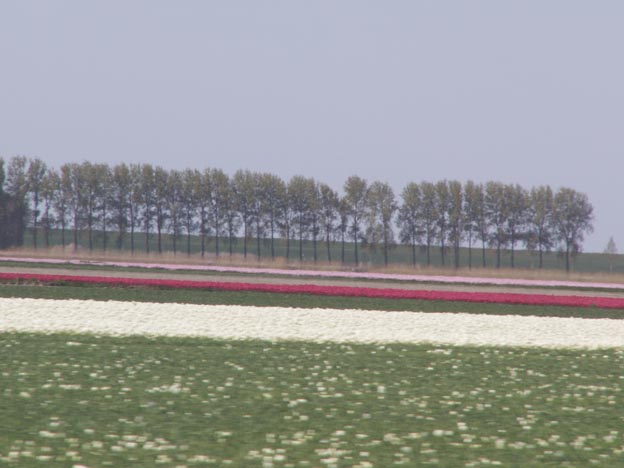 KONICA MINOLTA DIGITAL CAMERA