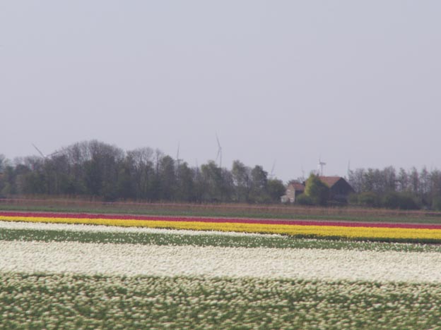 KONICA MINOLTA DIGITAL CAMERA