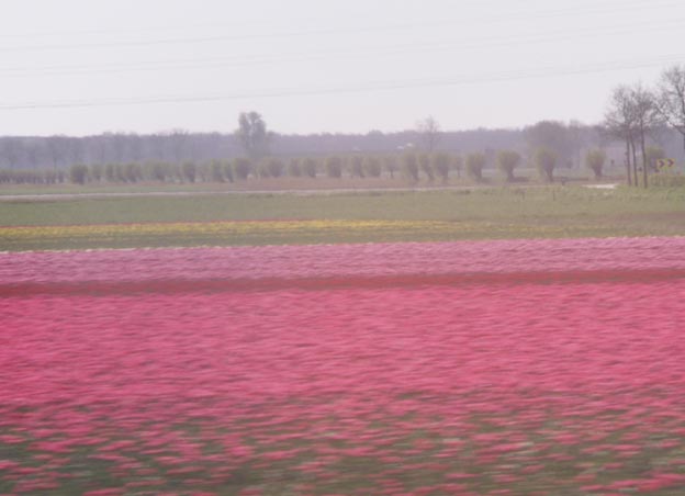 KONICA MINOLTA DIGITAL CAMERA