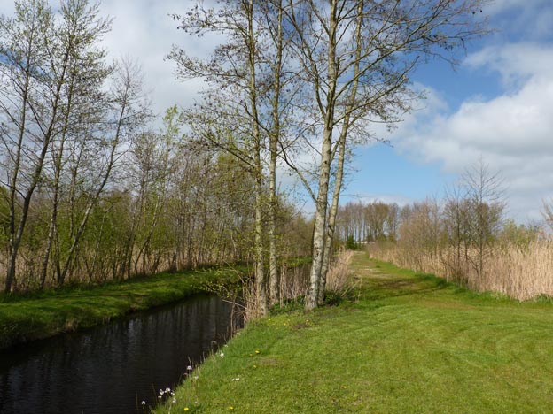 016 2014-04-15 017 Holland De Zilveaen Mann Camping