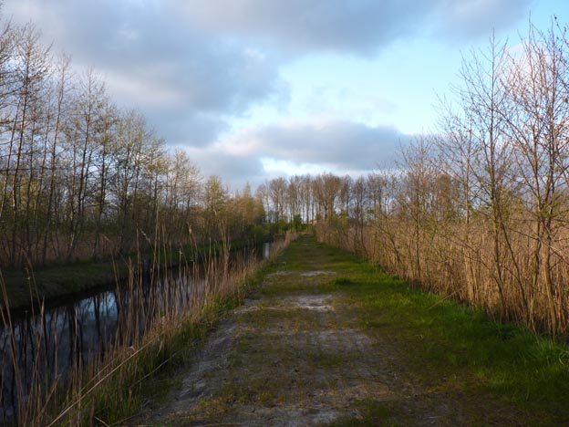 020 2014-04-15 032 Holland De Zilveaen Mann Camping