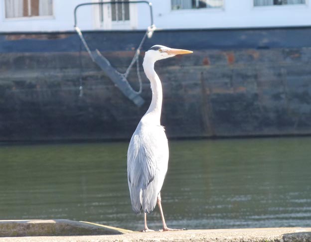039 2014-04-16 064 Holland Urk Ställplats
