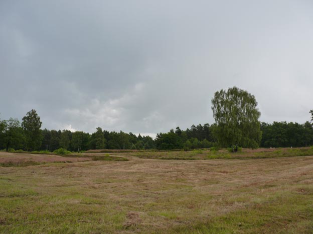 010 2014-06-30 020 Gedenkstätte Bergen-Belsen