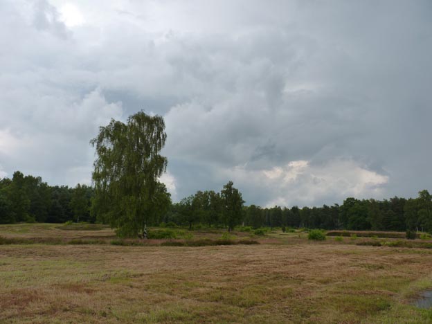 011 2014-06-30 026 Gedenkstätte Bergen-Belsen