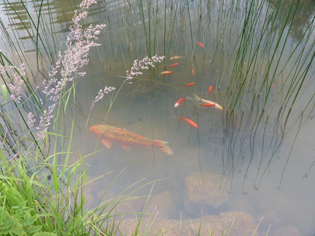 035 2014-07-04 052 Sportcamp Woferlgut