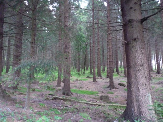 044 2014-06-30 080 Campingplatz Braunlage