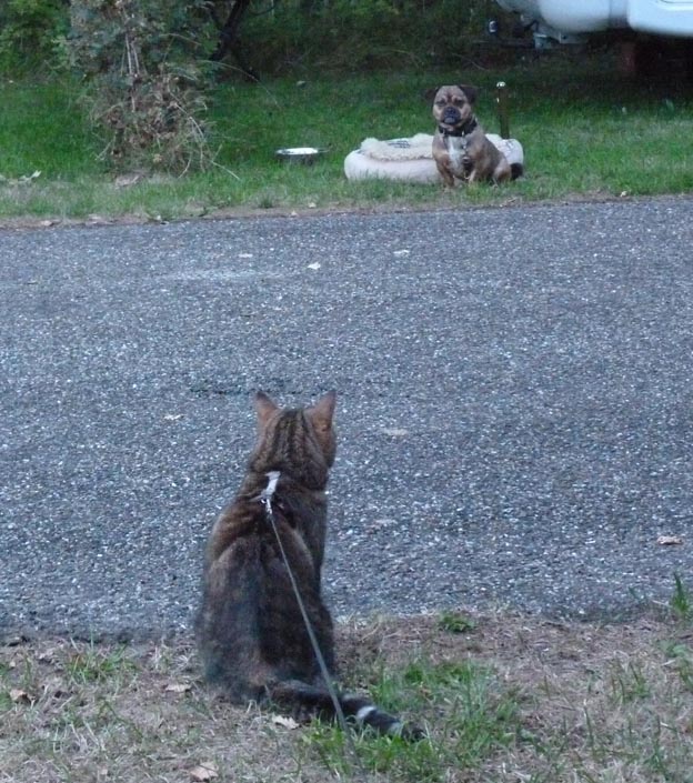 006 2014-07-16 007 Camperpark Zeeland