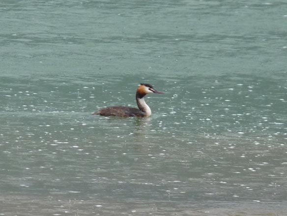 014 2014-07-09 004 Camping Lido Tyskland