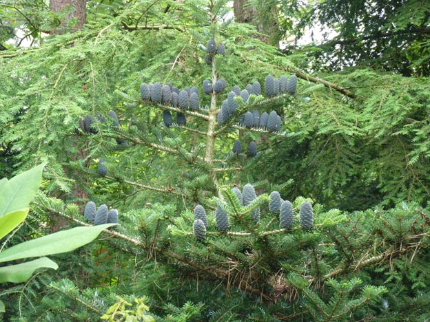 019 2014-07-15 008 Camping t´Zand