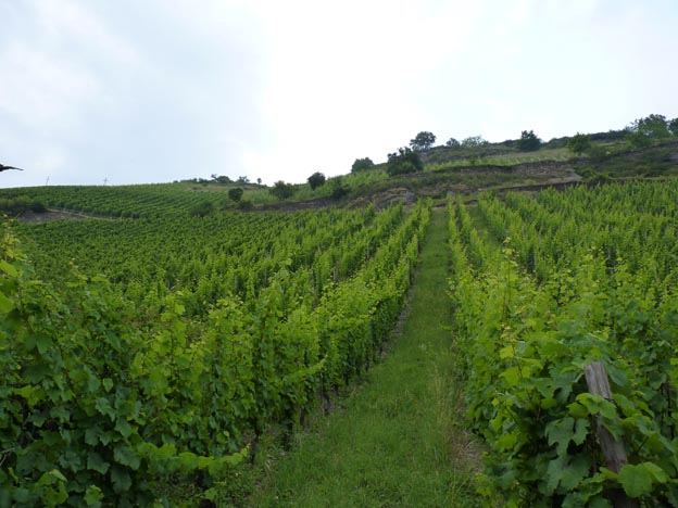 046 2014-07-11 073 Ställplats Bacharach