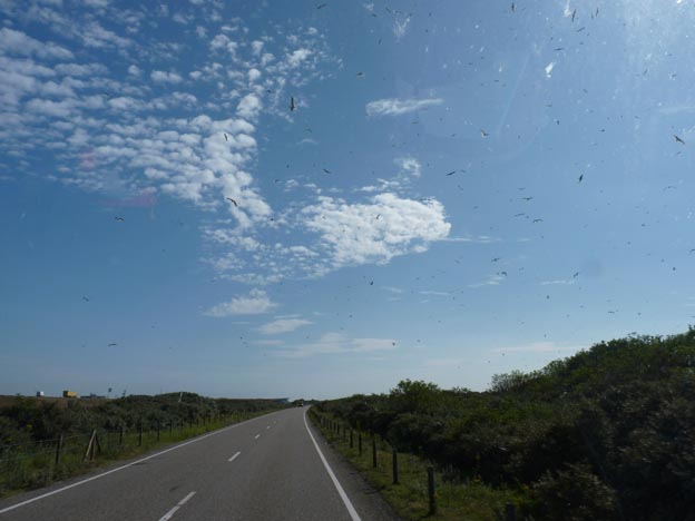 004 2014-07-17 005 Oosterscheldedam