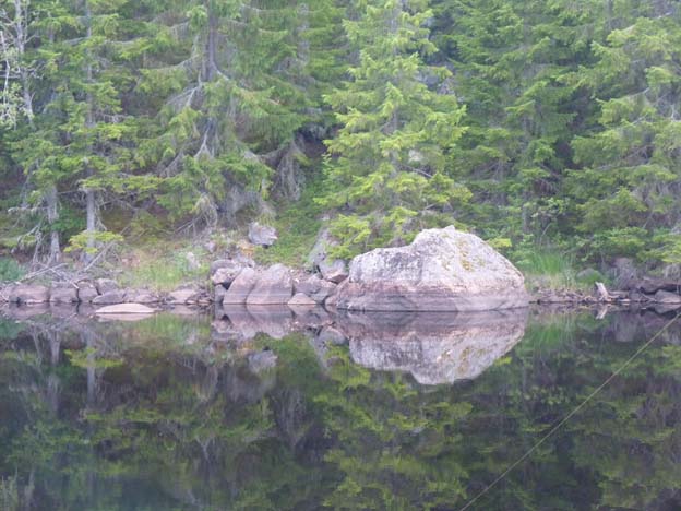 017 P1170478 - Kopia