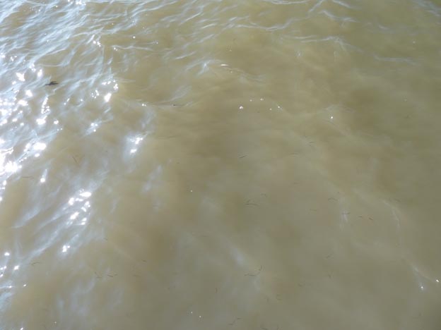 020 2014-07-18 028 Ställplats Burhave