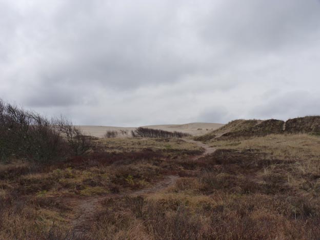 004 2015-03-31 007 Råbjerg Mile