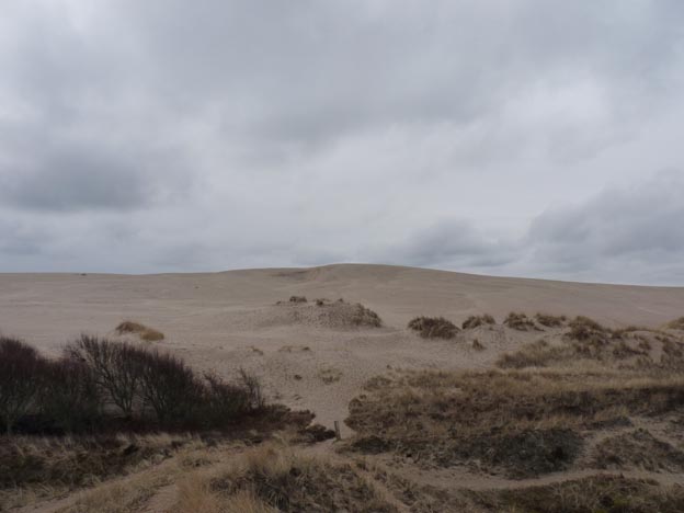 005 2015-03-31 008 Råbjerg Mile