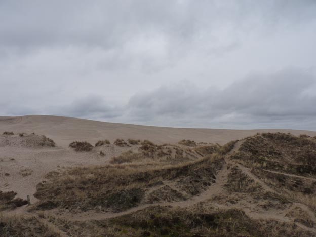 006 2015-03-31 009 Råbjerg Mile