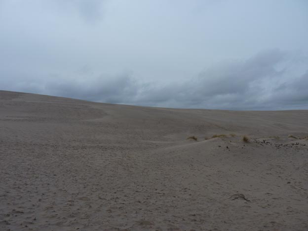 007 2015-03-31 013 Råbjerg Mile