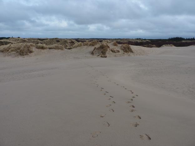 008 2015-03-31 014 Råbjerg Mile