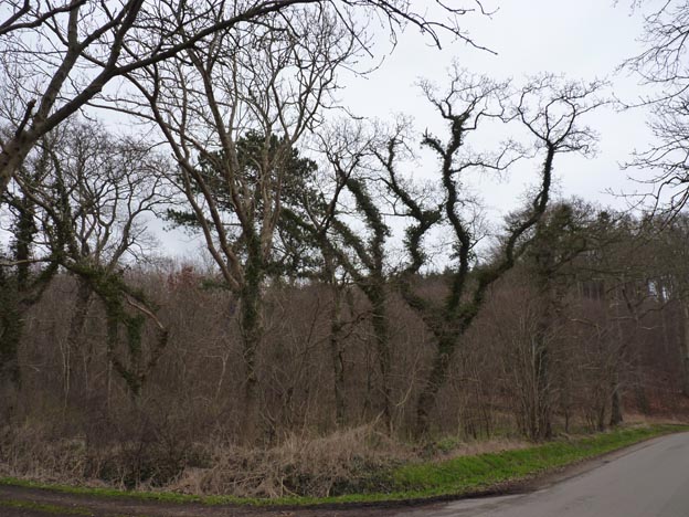 016 2015-03-29 014 Rosenvold Strand Camping