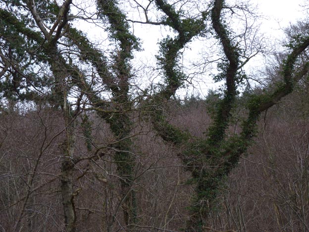 017 2015-03-29 015 Rosenvold Strand Camping