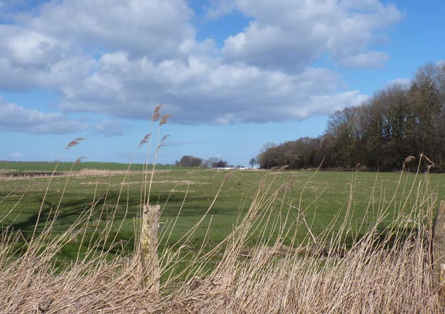 017 2015-04-03 004 Ostsee-Camping Gut Ludwigsburg