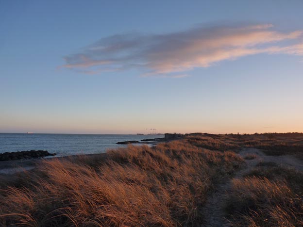 025 2015-03-30 047 CampOne Grenen Strand