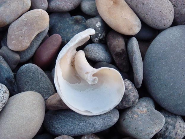 035 2015-03-30 050 CampOne Grenen Strand