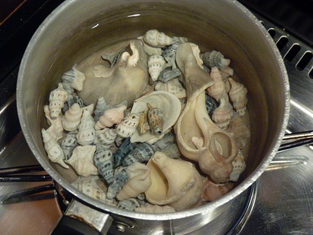 037 2015-03-30 062 CampOne Grenen Strand