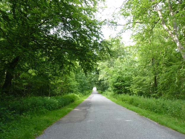 015 2015-07-11 023 Hindsgavl Camping Middlefart