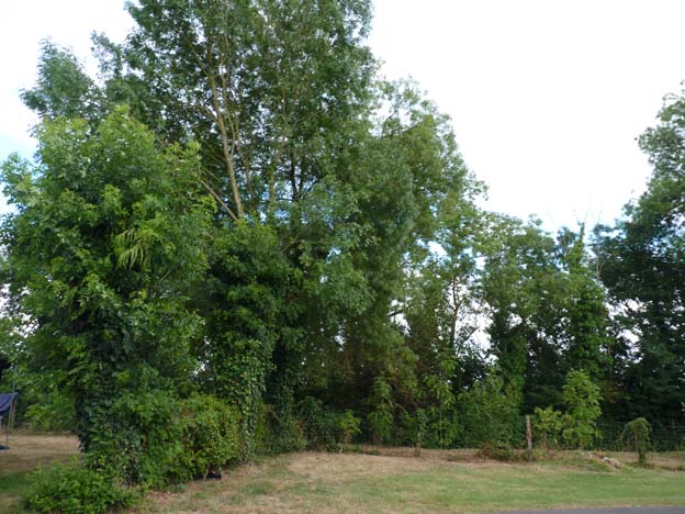 015 2015-07-20 034 Camping de I'lle Meuchet Loire