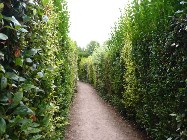 022 2015-07-18 024 Väg D514 Camping Port'land