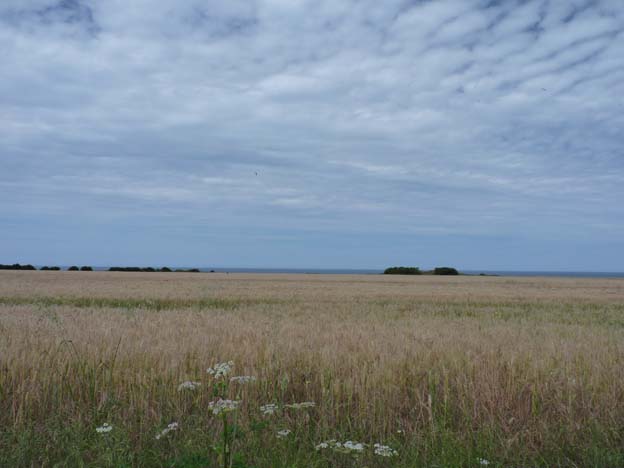 024 2015-07-18 045 Väg D514 Port-en-Bessin