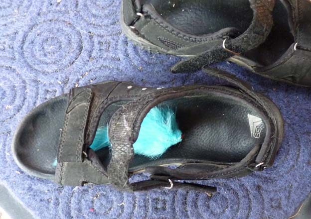 026 2015-07-11 017 Hindsgavl Camping Middlefart