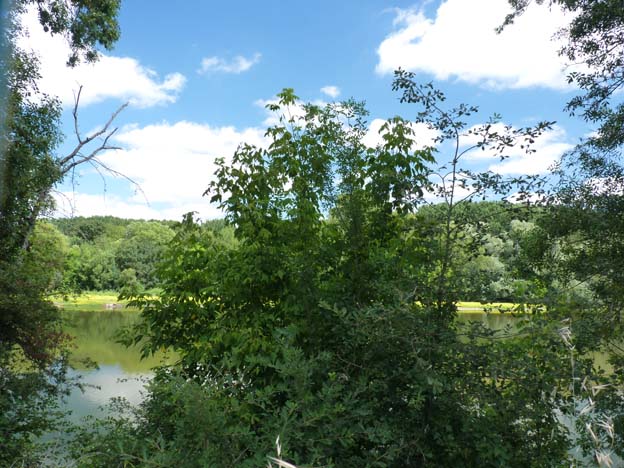 026 2015-07-21 009 Camping I'le de Offard Saumur Loire