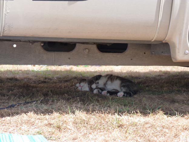 015 2015-07-23 029 Camping i Etang-sur-Arroux