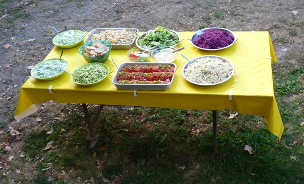 019 2015-07-23 031 Camping i Etang-sur-Arroux