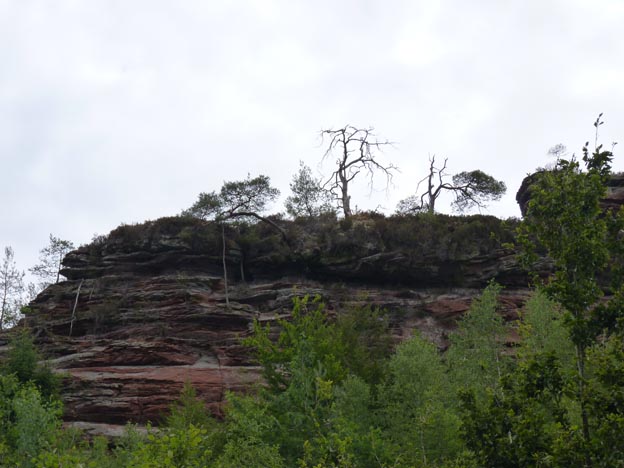 007 2015-07-26 010 Campingplatz Buttelwoog