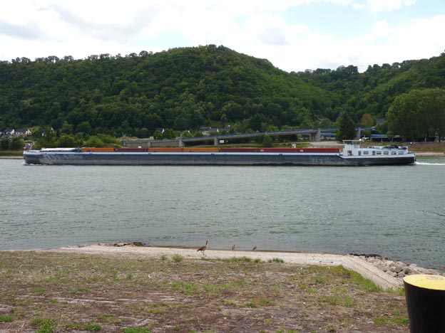 010 2015-07-28 019 Rhen